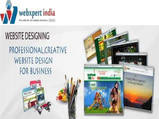 Website Designing Company in Delhi, Web Development Company in Delhi - slide 1