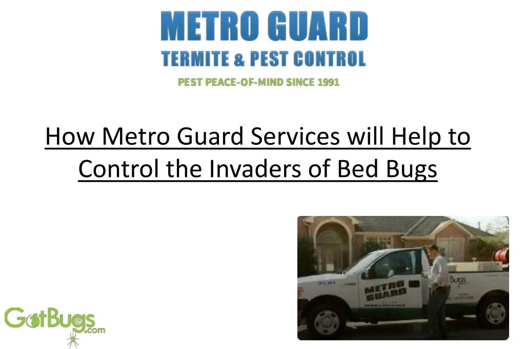 how metro guard services will help to control the invaders of bed bugs