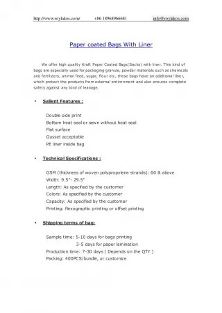 Paper coated Bags With Liner - slide 1