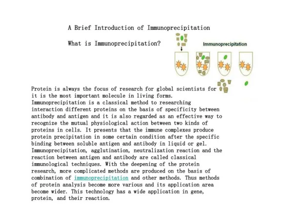 A Brief Introduction of Immunoprecipitation