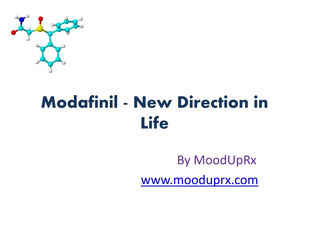 modafinil new direction in life
