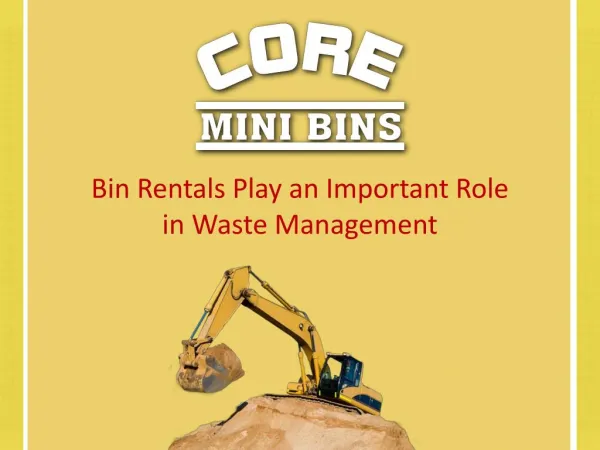 Bin Rentals Play an Important Role in Waste Management