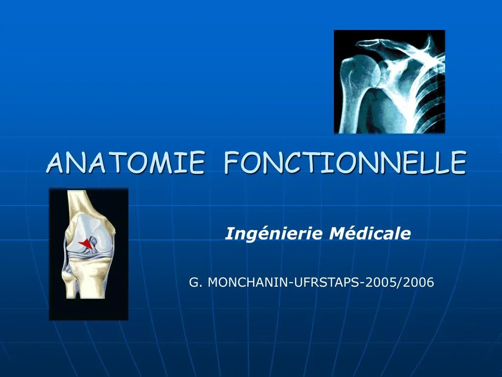 anatomie fonctionnelle