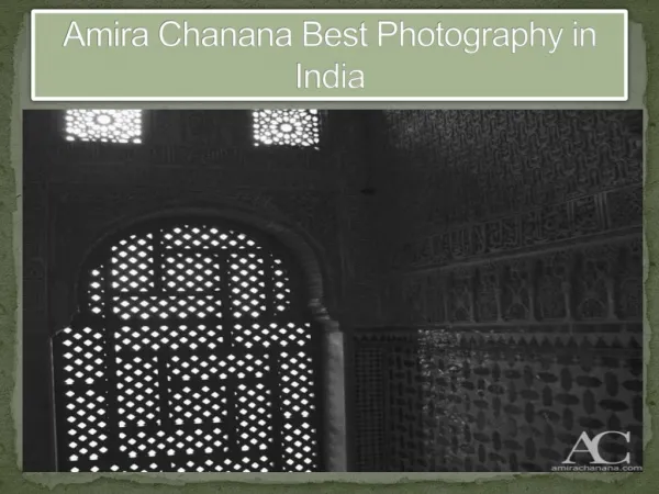 Amira Chanana Best Photography in India - Best Wildlife Photographer in India