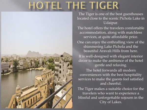Hotel The Tiger