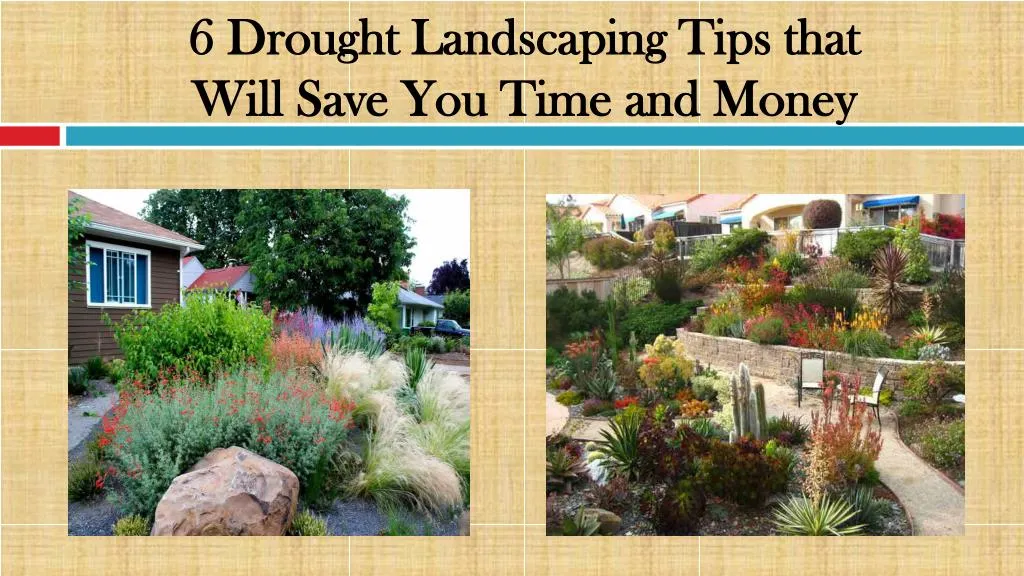 6 drought landscaping tips that will save you time and money