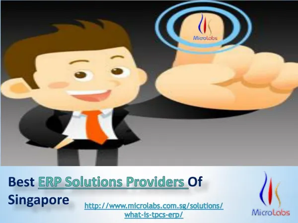 ERP Solutions providers
