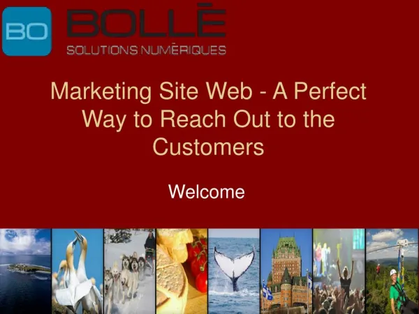 Marketing Site Web