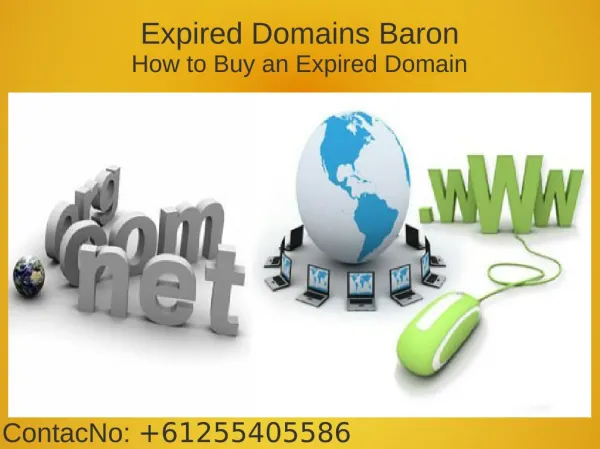 Expired Domain List From Expired Domains Baron