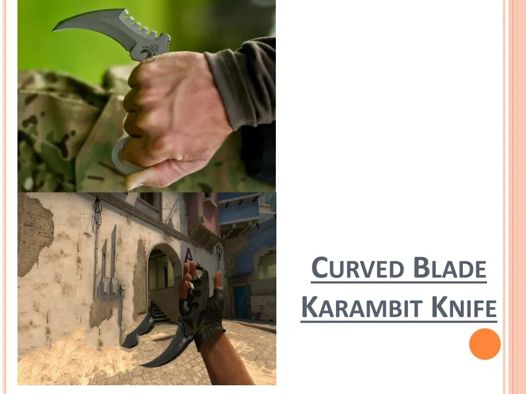 curved blade karambit knife