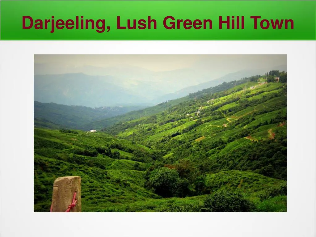 darjeeling lush green hill town
