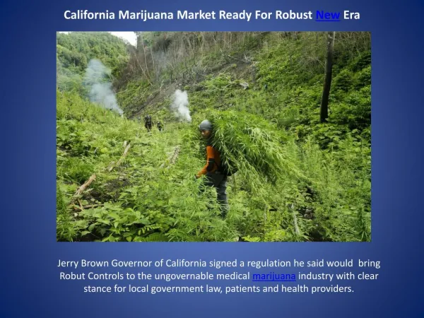 California Marijuana Market Ready For Robust New Era