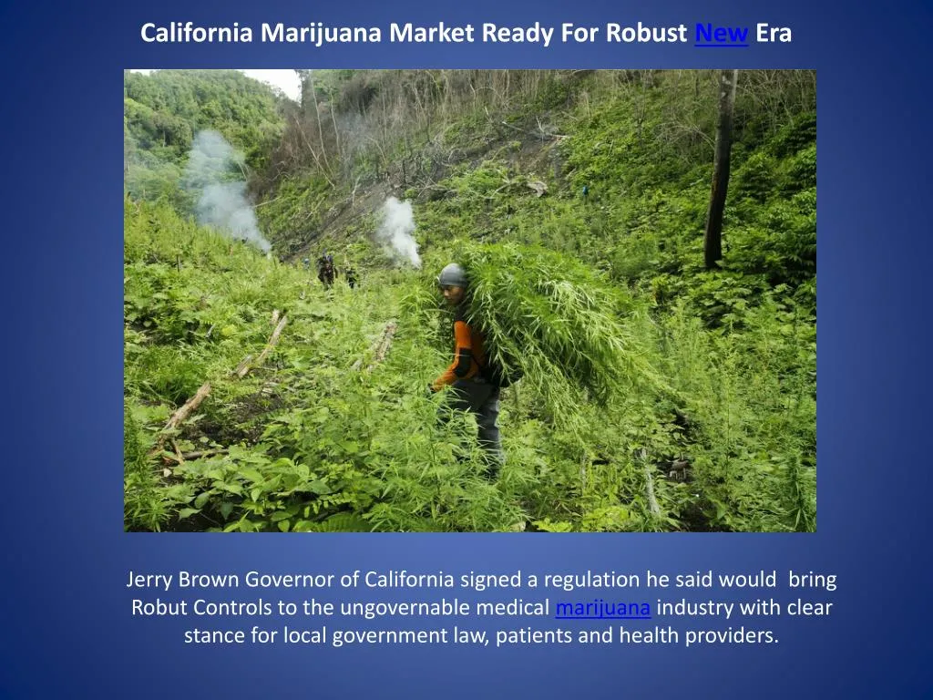 california marijuana market ready for robust new era