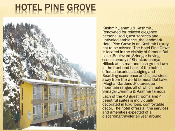 Hotel Pine Grove