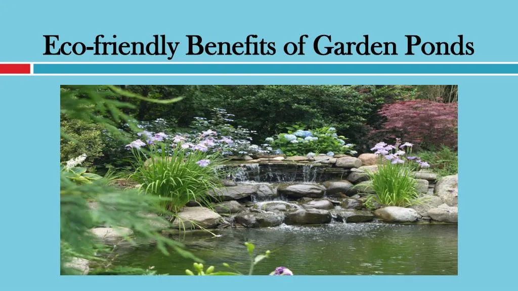 eco friendly benefits of garden ponds