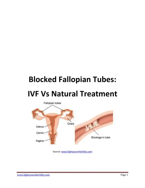 Blocked Fallopian Tubes: IVF Vs Natural Treatment