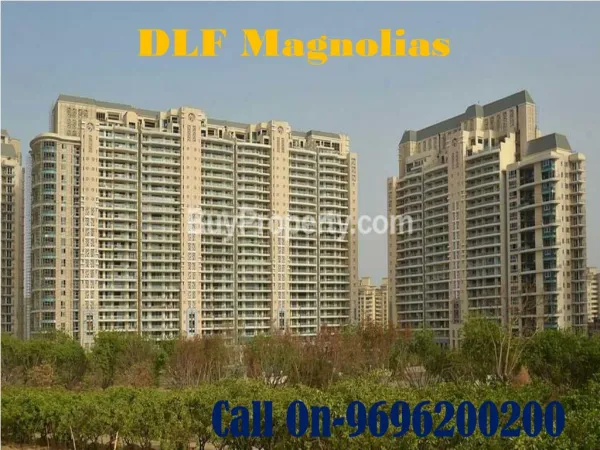 DLF Magnolias - Sector 42 - BuyProperty.com