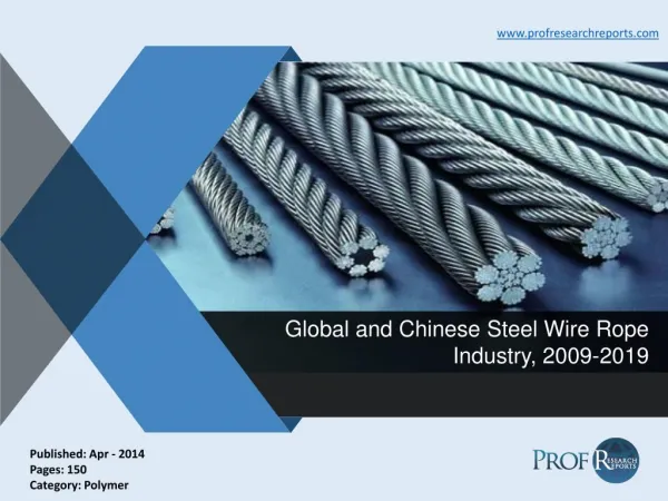 Global and Chinese Steel Wire Rope Industry, 2009-2019