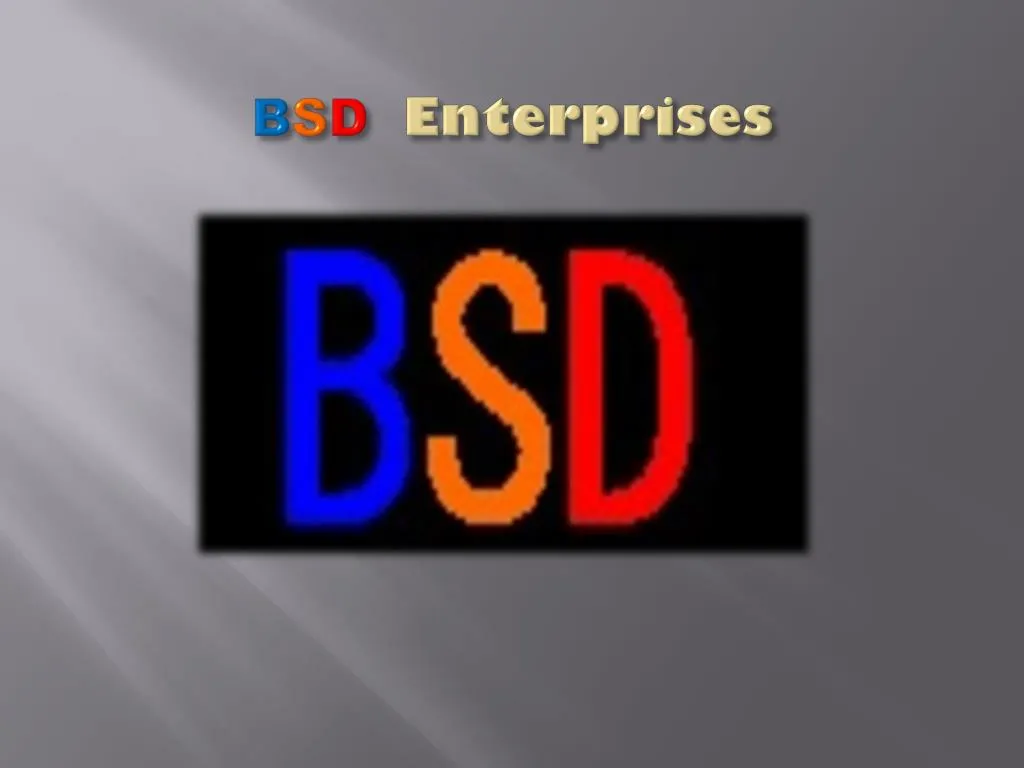 b s d enterprises