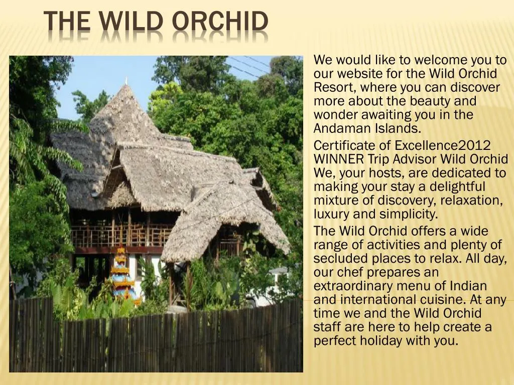 the wild orchid