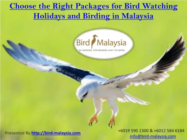 Choose the Right Packages for Bird Watching Holidays