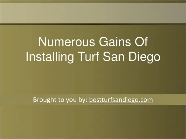 Numerous Gains Of Installing Turf San Diego