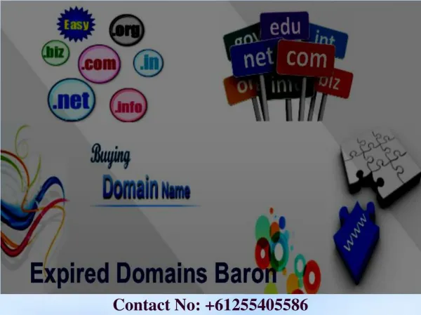 Expired Domain Finder From Expired Domains Baron