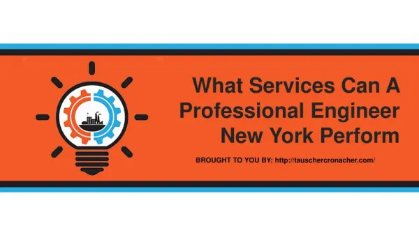 What Services Can A Professional Engineer New York Perform