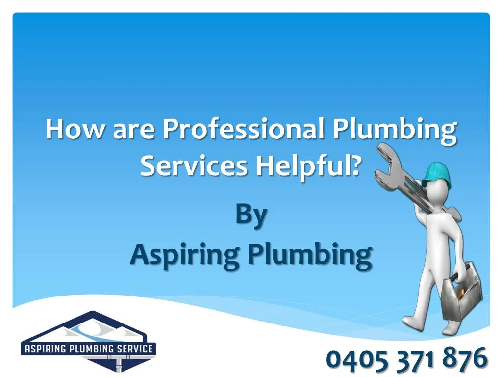 how are professional plumbing services helpful