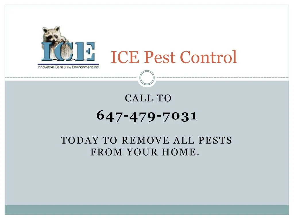 ice pest control