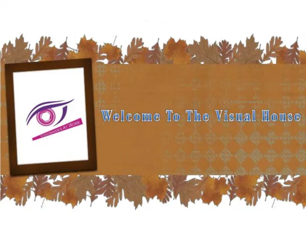 The Visual House - Best Video and Film Production House in Delhi