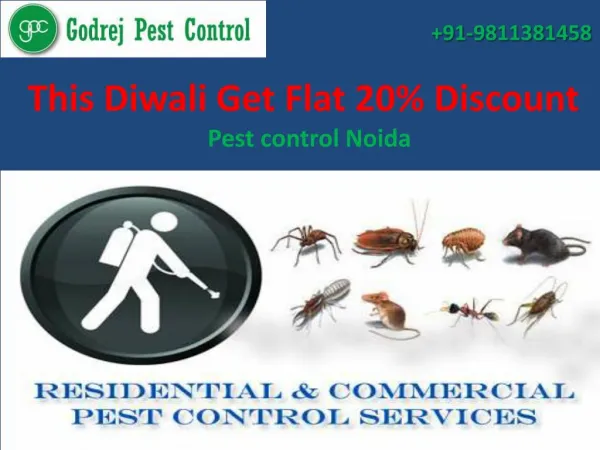 This Diwali Get Flat 20% Discount from pest control Noida