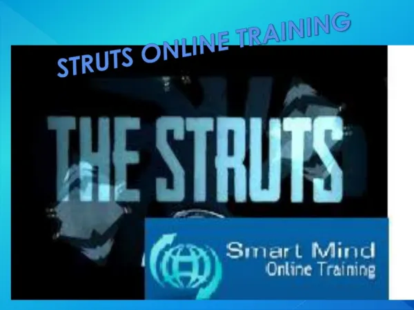 The Best Struts Online Training Program in India, USA, UK.