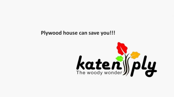 The Plywood House can save you!!