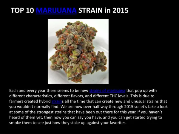 Top 10 Strongest Marijuana Strains of 2015