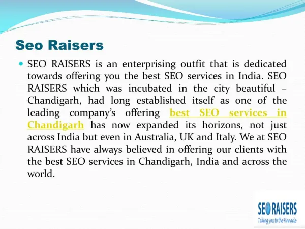 Best SEO Company Chandigarh - SEORAISERS