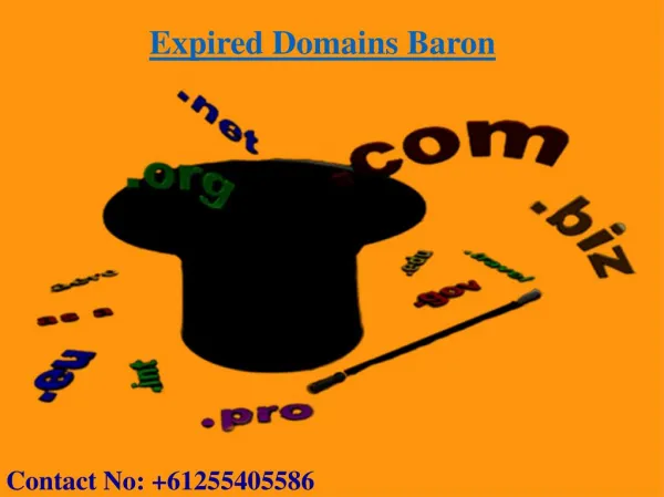 Where to Buy Expired Domains | Expired Domain Names | Expired Domains Baron