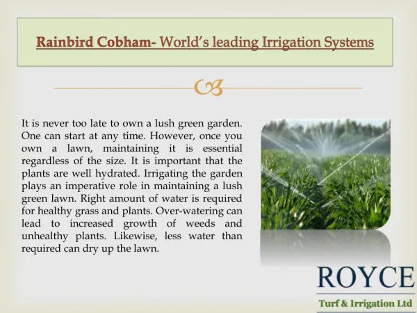 Rainbird Cobham- World’s leading Irrigation Systems