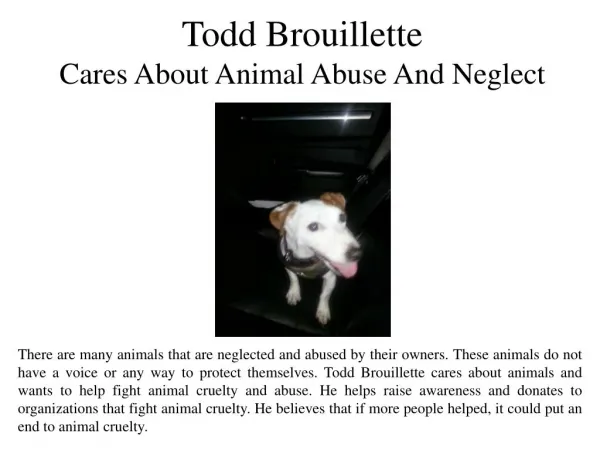 Todd Brouillette Cares About Animal Abuse And Neglect
