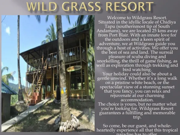 Wild Grass resort