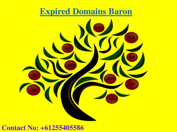 How to Buy Expired Domain | Expired Domains List | Expired Domain Baron