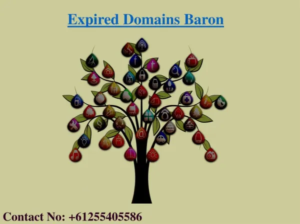 Where to Buy Domain Names | Cheap Expired Domains | Expired Domains Baron