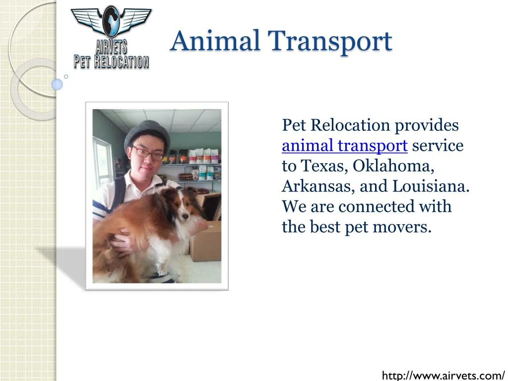 animal transport