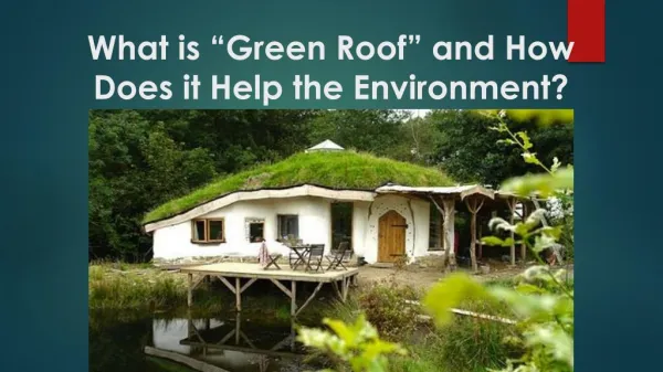 What is “Green Roof” and How Does it Help the Environment?