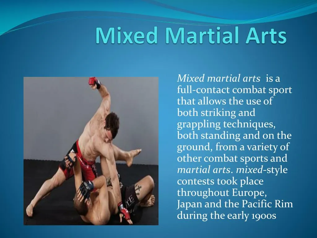mixed martial arts