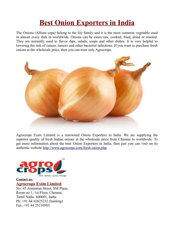 Best Onion Exporters in India