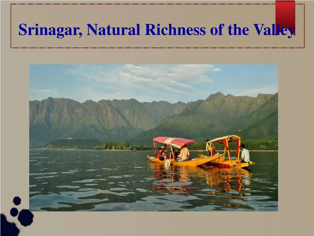 srinagar natural richness of the valley