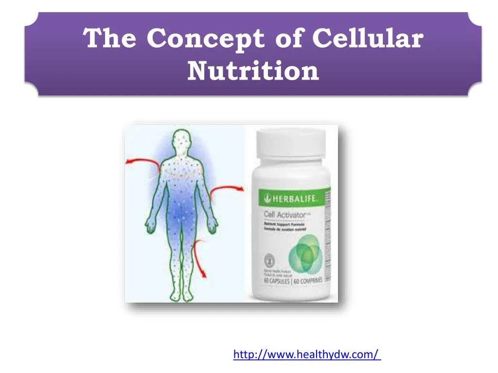 the concept of cellular nutrition