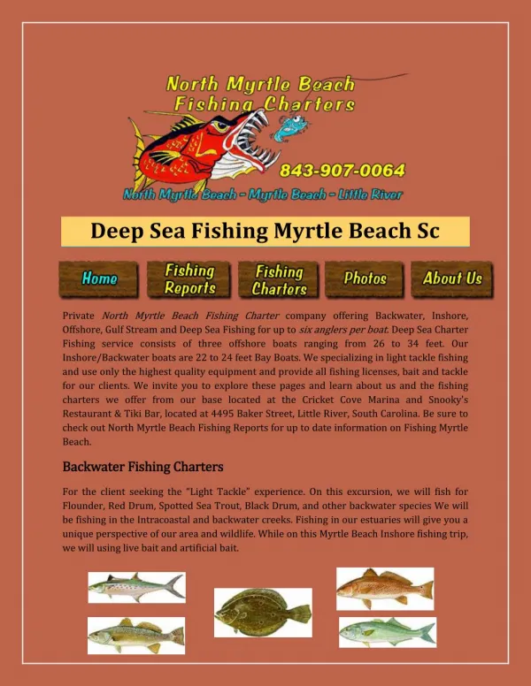 Deep Sea Fishing Myrtle Beach Sc