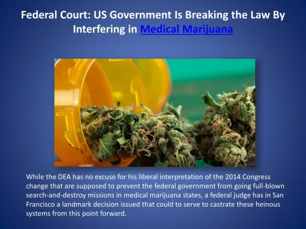 Federal Court: US Government Is Breaking the Law By Interfering in Medical Marijuana